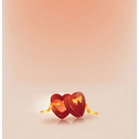 Shopnav Apple iphone XR Love Gift box opening Mobile Case Cover