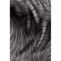 Shopnav Apple iphone 8 Zebera Lines Texture Effect Mobile Case Cover