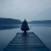 Shopnav shopnav's Mi A2 Beautiful River and Tree Mobile Case Cover - Blue, 0.25, Nature