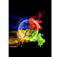 Shopnav Redmi Note 7S Four Quarter Season Mobile Case Cover - Multi, 0.25, Digital Art