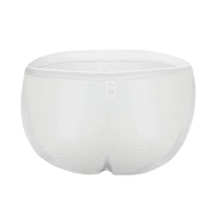 Men's Mesh Power Net Men Transparent Briefs Underwear White - White, 0.15, Transparent Brief, XL