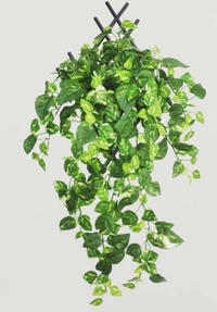Shopnav Pack Of 3 Silk Polyester Artificial Money Plant Leaf Vine Hanging Garland Foliage Flowers Leaf Plants For Wall Decoration (Color: Green,Length: 15 Feet) - 15 Feet, 0.3, Green