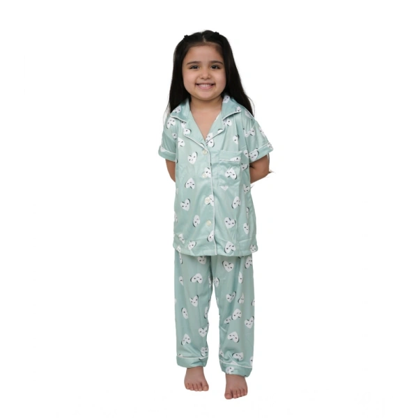 Generic Girl's Silk Bleand Printed Short Sleeve Night Suit Set (Light Green) - 11-12-Yrs