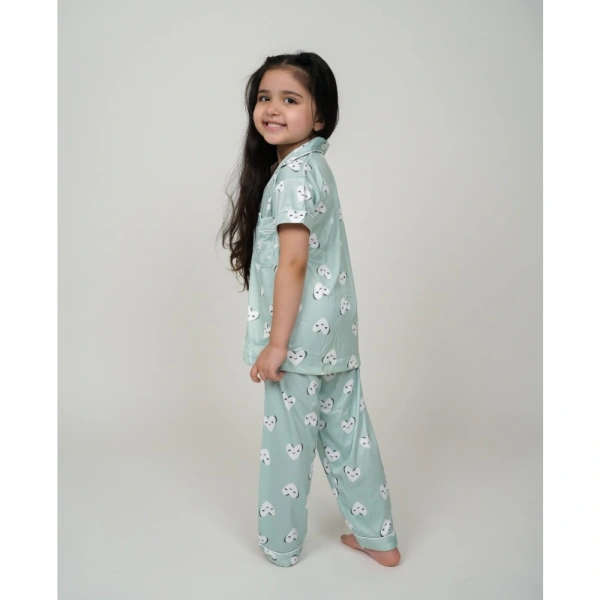 Generic Girl's Silk Bleand Printed Short Sleeve Night Suit Set (Light Green) - 11-12-Yrs