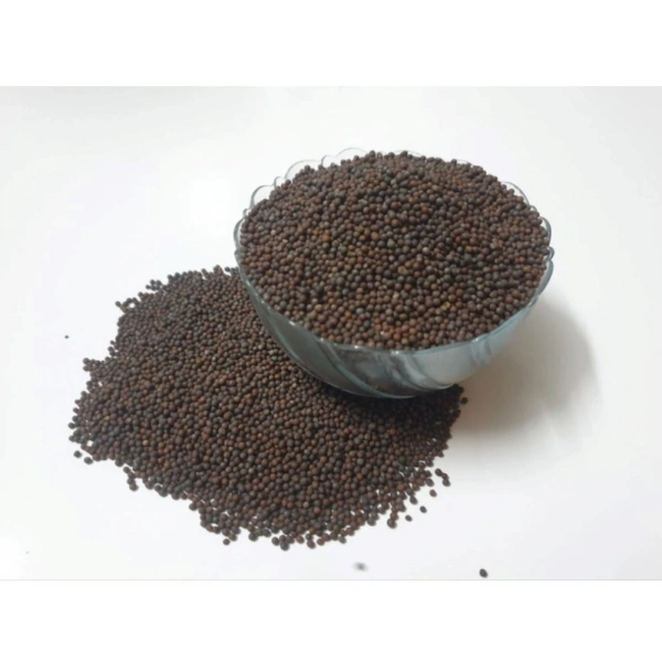 Mustard Microgreen Seeds – Easy to Grow, Quick Harvest - 500-grams