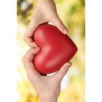 Shopnav Apple iphone 6s Heart in Hand Mobile Case Cover - Red, 0.25, Love