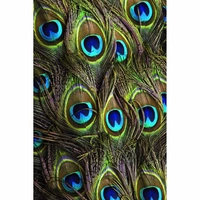 Shopnav Honor 10 Lite Beautiful Peocock Tail Mobile Case Cover - Green, 0.25, Birds