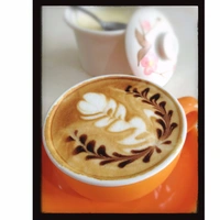 Shopnav Apple iphone 8 Cup of Coffee with Floral Images Mobile Case Cover - Brown, 0.25, Cream