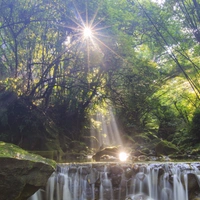 Shopnav Realme 3i Forest Sunrise Wallpapers Mobile Case Cover - Green, 0.25, Nature