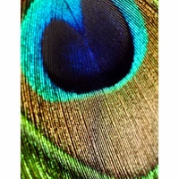 Shopnav Redmi K20 Zoom Peocock Effect image Mobile Case Cover - Multi, Hard Case, 0.25, Random