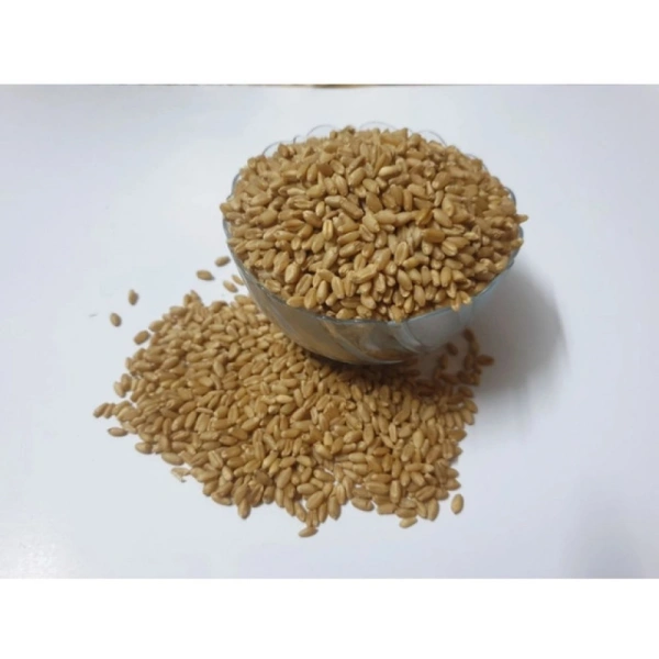 Wheatgrass Microgreen Seeds – Easy to Grow, Quick Harvest - 100-grams