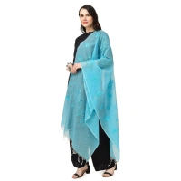 Women's Cotton Embroidered Dupatta (Aqua Blue, Length:Â 2.25 to 2.50 Mtr)
