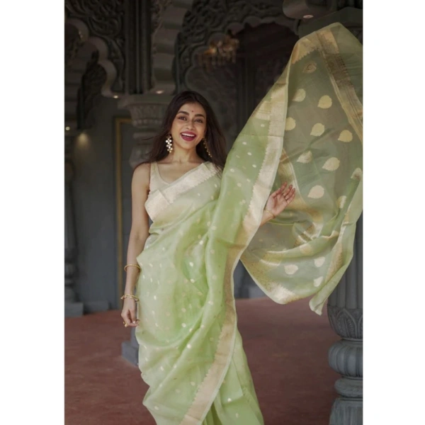 Generic Women's Cotton Printed Saree With Unstitched Blouse 5.5Mtr (Pista) - Pista