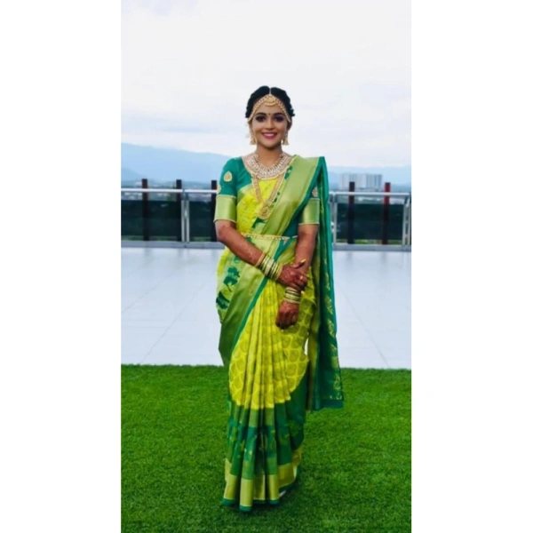 Shopnav Women's Litchi silk Printed Saree With Unstitched Blouse (Light Green)