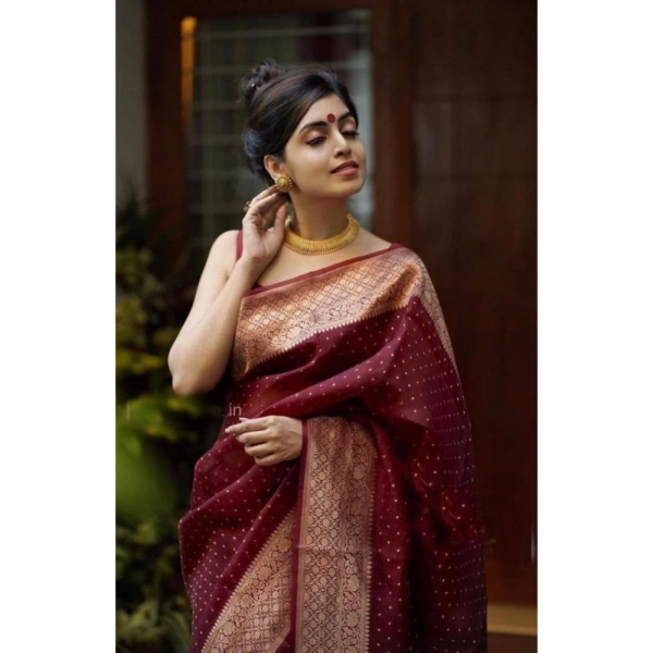 Shopnav Women's Litchi silk Printed Saree With Unstitched Blouse (Maroon)