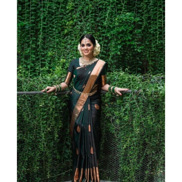 Shopnav Women's Litchi silk Printed Saree With Unstitched Blouse (Green)