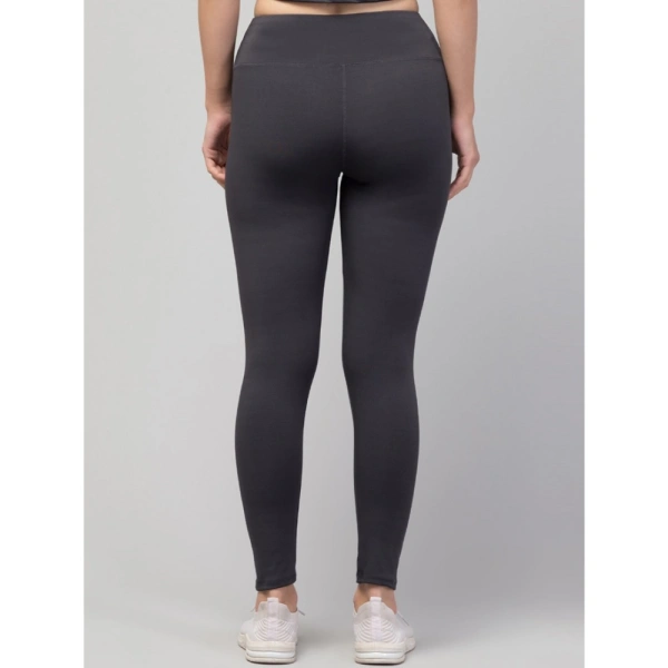 Women's Polyester Solid Ankle Length High-Rise Tights (Grey) - L