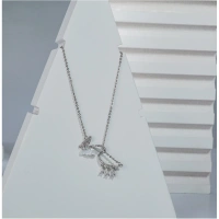 Shopnav Women's Stainless Steel Imported Stanless Steel Pendent Chain (Silver Plated) - Silver Plated