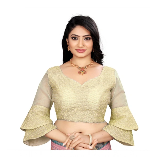 Women's Organza Embroidery Readymade Blouse (Cream, Size: Free Size)