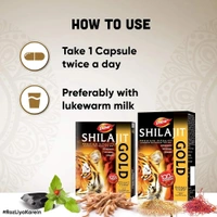 Dabur Shilajit Gold - 20 Capsules | 100% Ayurvedic Capsules for Strength , Stamina and Power | Premium Ayurvedic Supplement | For Men