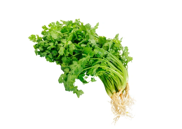 Coriander leaves, 1cut (ಕೊತ್ತಂಬರಿ ಸೊಪ್ಪು)