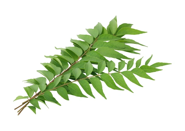 Curry leaves   100 g (ಕರಿಬೇವು)