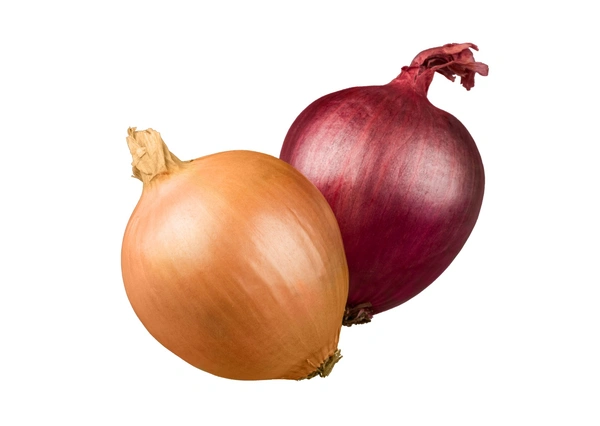 Onion (ಈರುಳ್ಳಿ, ಉಳ್ಳಾಗೆಡ್ಡೆ)