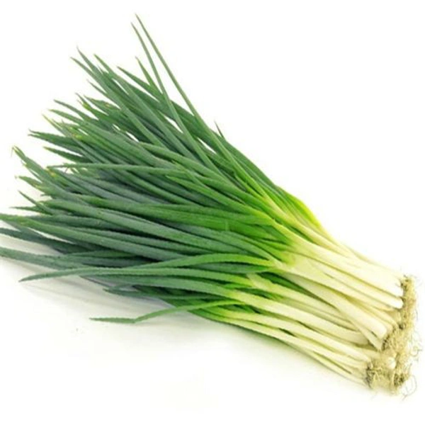 Spring Onion ಈರುಳ್ಳಿ ಹೂವು