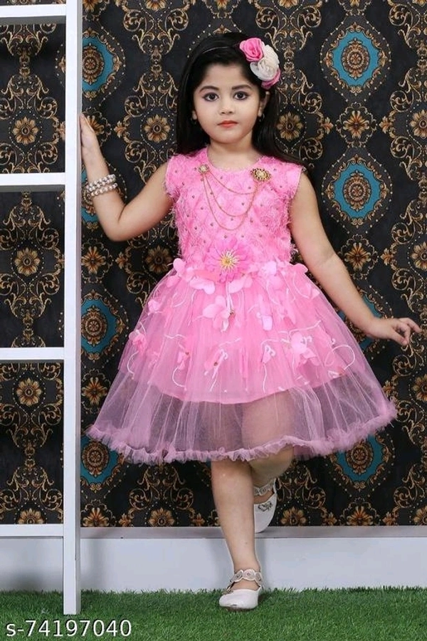 Baby Girls Beautiful Net Frock  - 3-4 Years