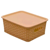 Plastic 3 Pieces Extra Small Size Multipurpose Solitaire Storage Basket with Lid (Multi) - Storage Basket (Pack of 3)