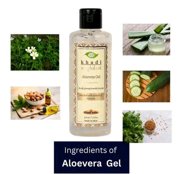 Meghdoot MEGHDOOT Ayurvedic Aloevera Gel 210ML with Pack of 2