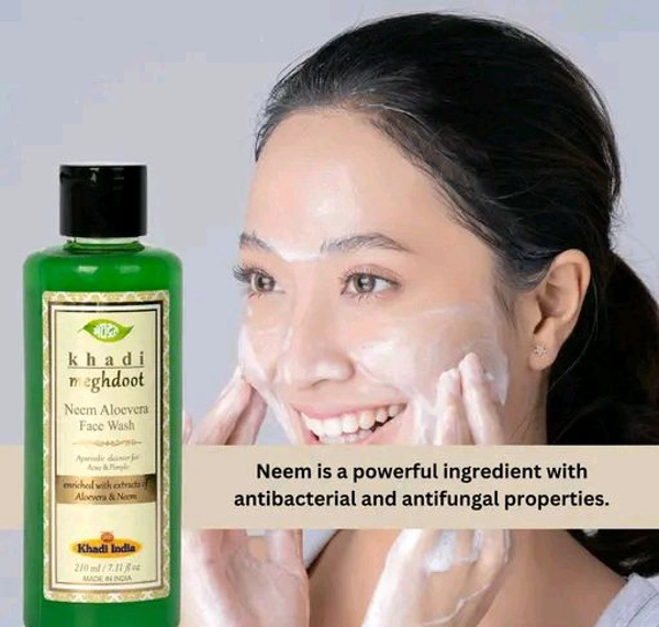 Meghdoot  MEGHDOOT Ayurvedic Neem Aloevera Face Wash 210ML with Pack of 2