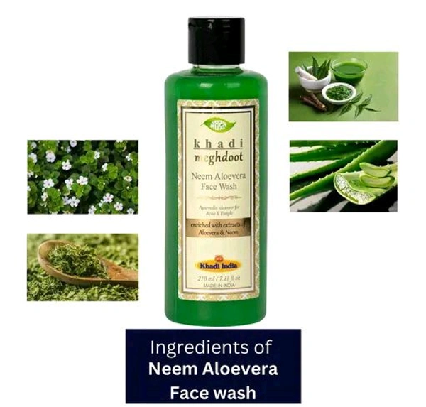 Meghdoot  MEGHDOOT Ayurvedic Neem Aloevera Face Wash 210ML with Pack of 2