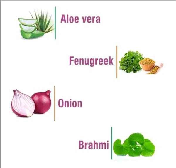 Meghdoot  MEGHDOOT Onion Oil Shampoo 300ml (Pack of 1)