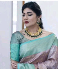 Fancy banarshi tissue high level damand silk saree