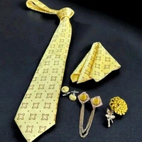Necktie with Pocket square Lapel Pin Flawer and Brooch & Cufflinks Pair set