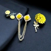 Necktie with Pocket square Lapel Pin Flawer and Brooch & Cufflinks Pair set