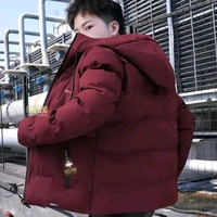 BOMBER JACKET - Maroon, XL