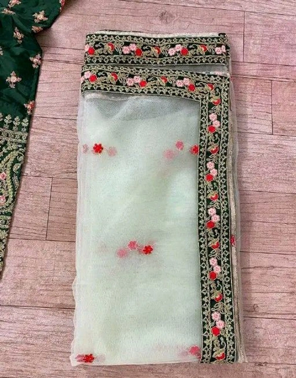 PUSHPA-PLUS Lehnga Choli 