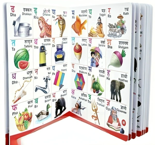 All-in-One English-Hindi Board Book