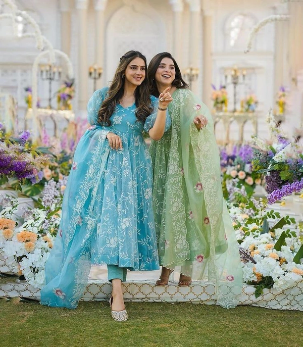 Sky Blue Organza Silk Thread Work Gown - Turbo, L(40)