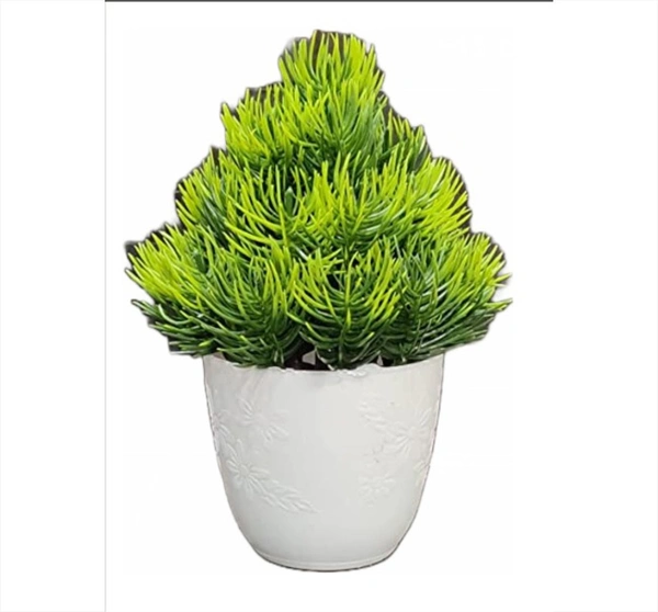 DVMARTÂ® Atractive Mini Bonsai Wild Plant with Plastic Pot For Home Decoration, Living Room, Bedside Table, Arrangements, Wedding, Outdoor, Indoor, Office DÃ©cor & Gift Color - Green