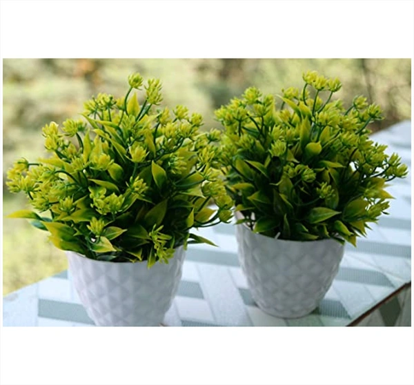 DVMARTÂ® Beautiful Mini Wild Plant with Plastic Pot For Home Decoration, Living Room, Bedside Table, Arrangements, Wedding, Outdoor, Indoor, Office DÃ©cor & Gift Color - Green