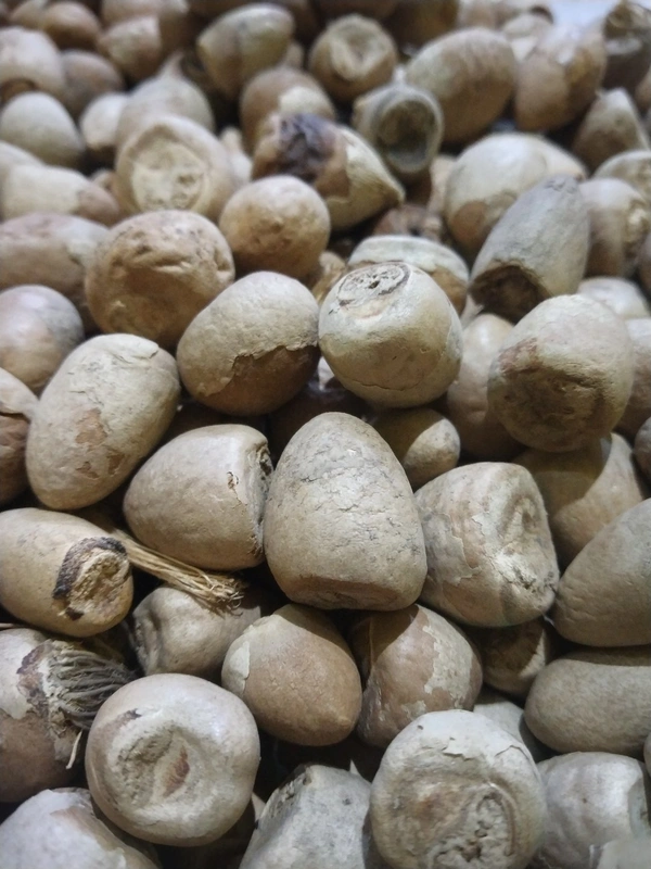 Charminar Puja Supari or Betelnuts 100gm