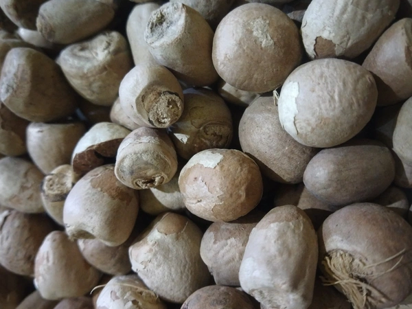 Charminar Puja Supari or Betelnuts 100gm