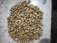 Charminar Puja Supari or Betelnuts 100gm