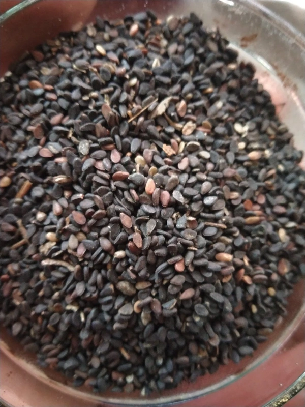 Brown-black Kala Til or Black Sesame Seeds 100gm