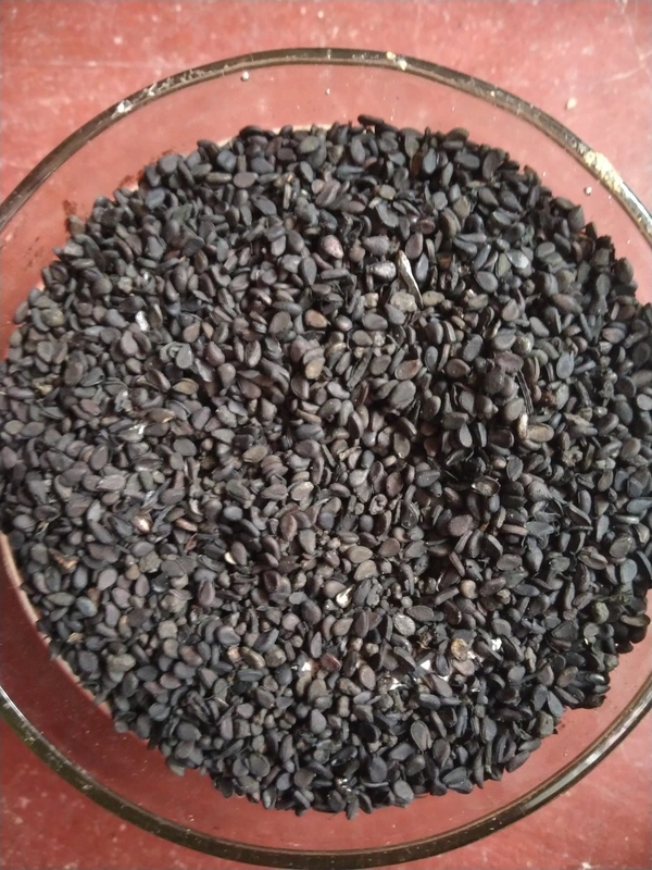 Kala Til or Black Sesame Seeds 100gm For Puja Only