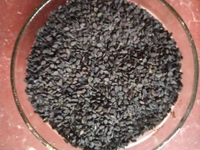 Kala Til or Black Sesame Seeds 100gm For Puja Only
