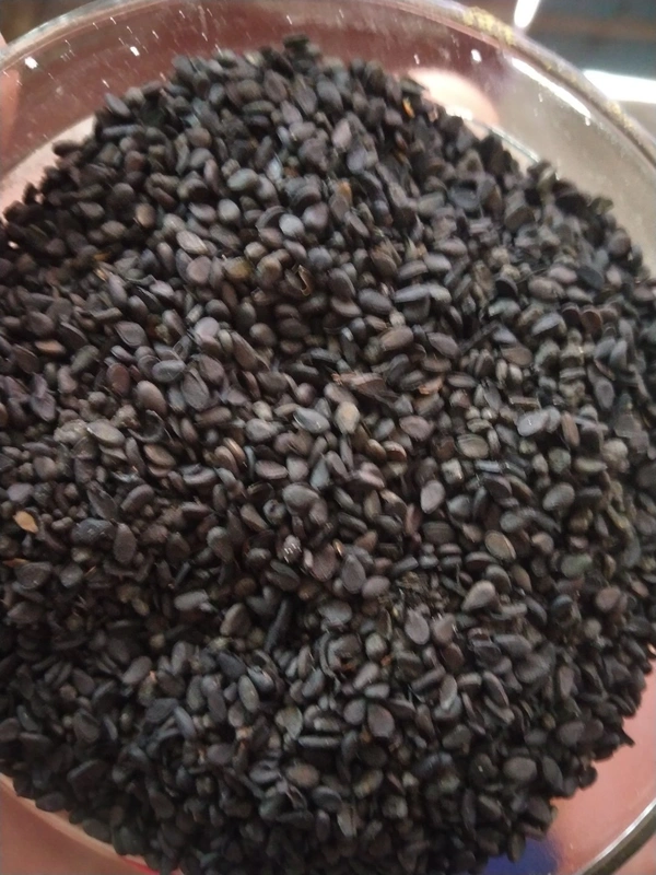 Kala Til or Black Sesame Seeds 100gm For Puja Only